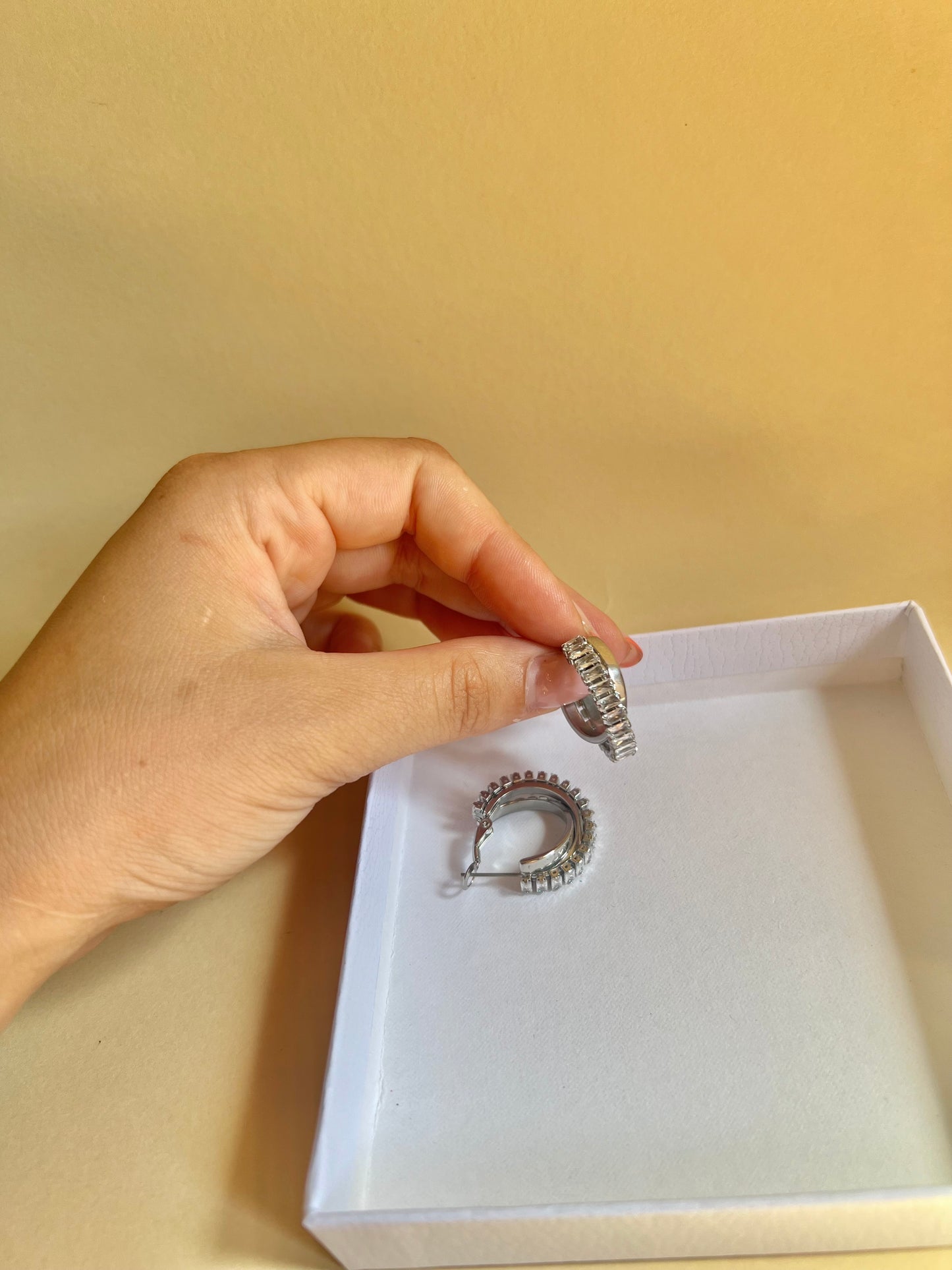 Orecchini “Luce d’argento ”
