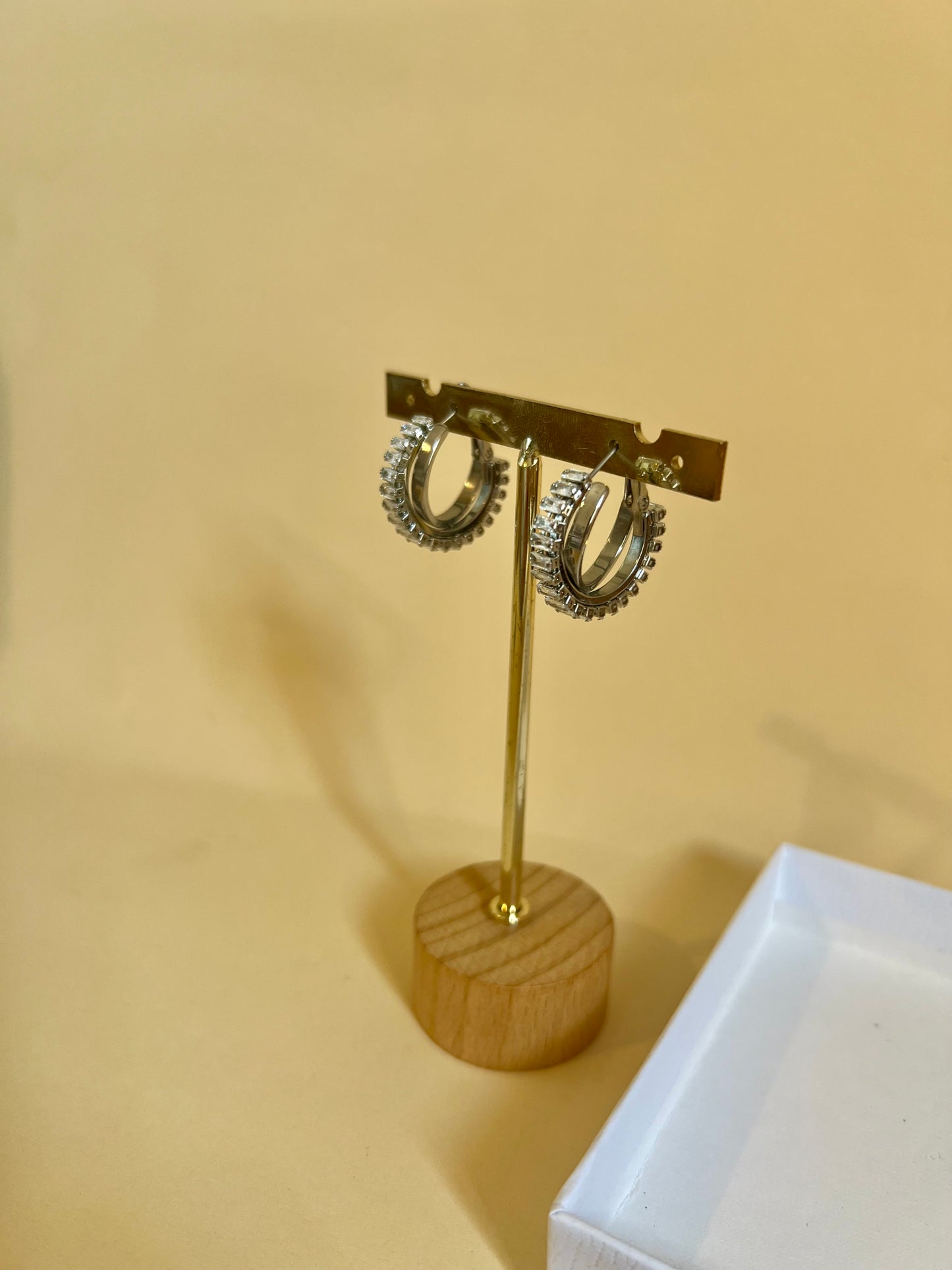 Orecchini “Luce d’argento ”