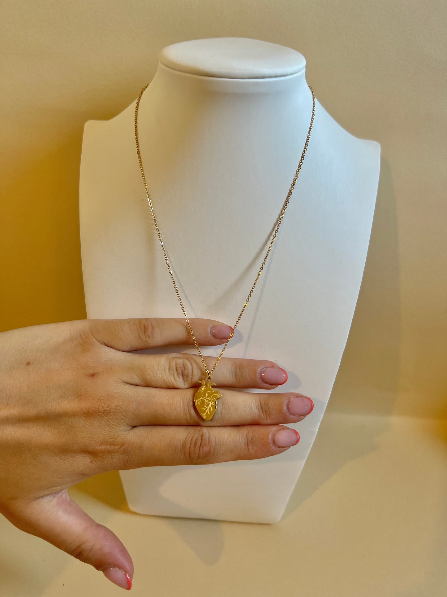 Collana "Cuore Anatomico"
