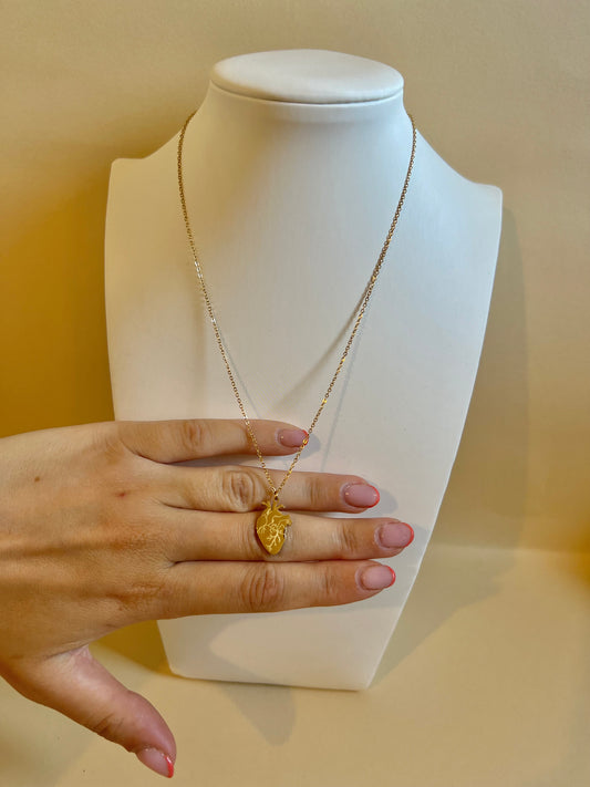 Collana "Cuore Anatomico"